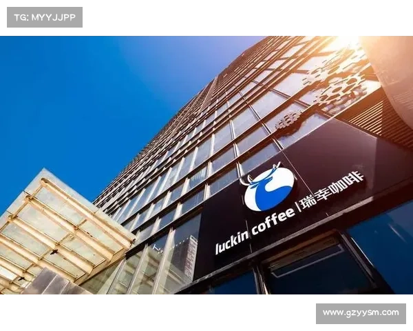 如何妥善处理50万欧元转会费问题以确保财务透明与合规